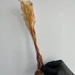 Ligament de Vită